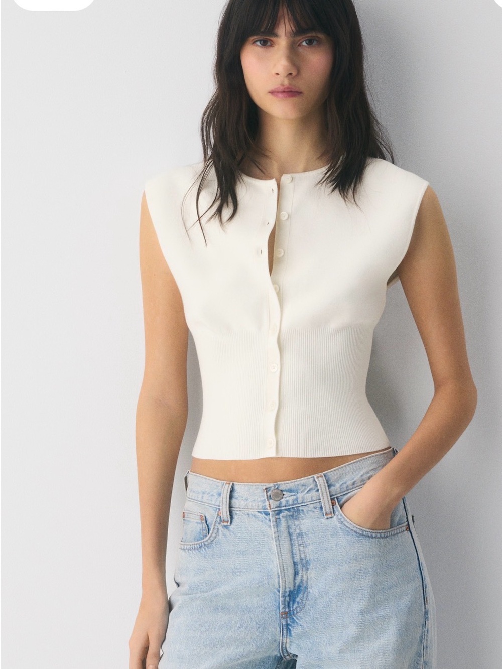 Aritzia NWT sleeveless Golightly sweater